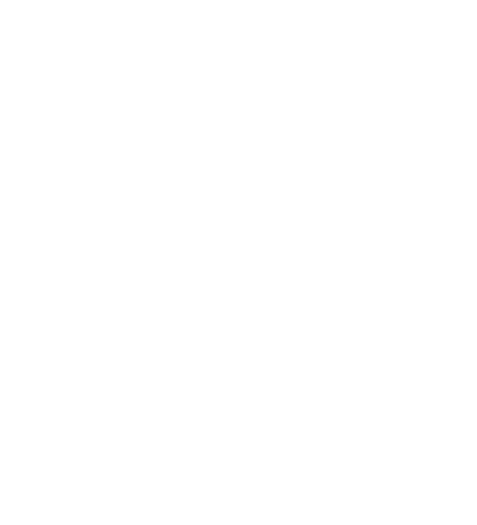 Paper Plane